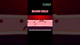 Blood Clotting trending learn science biology [upl. by Yeffej643]