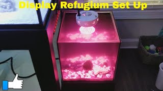 My New Display Refugium Set Up [upl. by Rinee768]