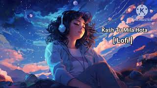 Kash Tu Mila Hota  Lofi [upl. by Kciredohr316]