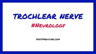 Trochlear Nerve  Neurology [upl. by Borroff]