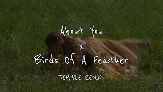 About You x Birds Of A Feather TEMPLE REMIX [upl. by Akcirred]