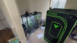 QUICK Vivosun NEW Grow Tent Pro Review  First Impressions plants indoorgarden indoorgardening [upl. by Nilesoj185]