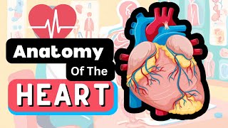 Anatomy of The Heart In JUST 4 MINUTES [upl. by Ynotna231]