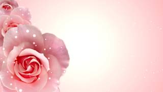 Roses Motion Background Free HD [upl. by Kaete]