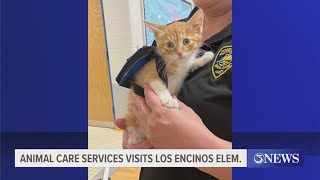 Animal Care Services visits Los Encinos Elementary [upl. by Aramoiz495]