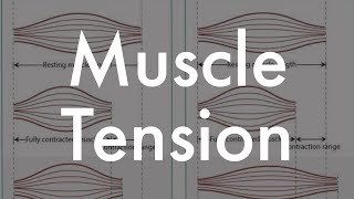 Muscle tension [upl. by Gusti632]