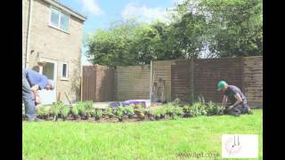 Planting a perennial flower bed with Llewellyn Landscape amp Garden Design [upl. by Kenay]