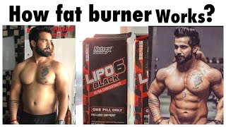 How Fat Burner Works  How To Use Fat Burner  Advantages amp Disadvantages  Rajveer Shishodia [upl. by Eppesiug]