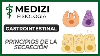 Clase 47 Fisiología Gastrointestinal  Principios básicos de la Secreción IGdoctorpaiva [upl. by Dijam]