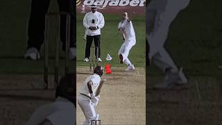 Rare No Ball in Cricket 😱 cricketshort Cricket New Shorts [upl. by Anu]