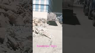 Samastipur dairy [upl. by Marsden]