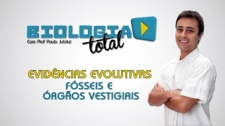 Evidências Evolutivas  Fósseis e Órgãos Vestigiais  Prof Paulo Jubilut [upl. by Aubrette251]