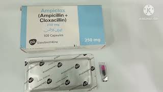 Ampiclox 250mg Capsule Uses in Urdu Ampiclox 500mg Capsule Uses Ampiclox Capsule 250mg Ampicillin [upl. by Moersch]