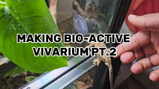 MAKING A BIOACTIVE VIVARIUM PT2 [upl. by Adnovaj]