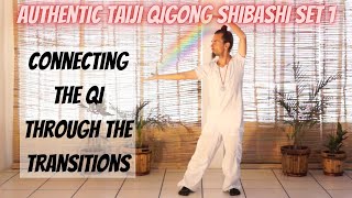 Taiji Qigong Shibashi set 1 connecting the Qi [upl. by Laurens48]