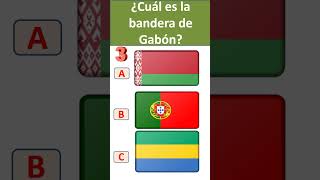 Cual es la bandera de Gabón [upl. by Prinz]