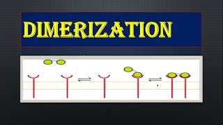 DIMERIZATION part1 [upl. by Arihppas219]