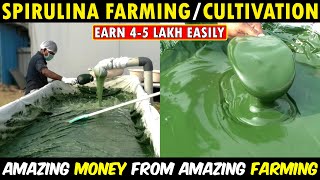 How To Start Spirulina Farming Business  Home Based Business Ideas [upl. by Aratahc]