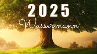 WASSERMANN 2025♒️Große Jahresvorschau [upl. by Enenaej]