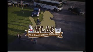 2023 World Livestock Auctioneer Championship WLAC Show [upl. by Hooker]