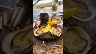 Fresh Oysters At Saltz Restaurant Dolder Grand Hotel Zurich shortvideo travel swisslifestyle [upl. by Krishna389]