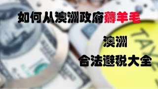 如何从澳洲政府上薅羊毛？澳洲合法避税大全 [upl. by Alcus]