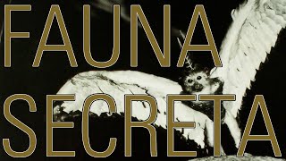 FAUNA SECRETA  Los animales increíbles que jamás viste [upl. by Ical]