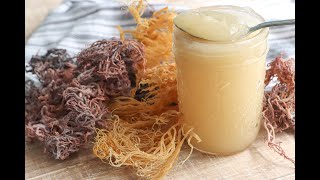 Whats Sea Moss And its Uses [upl. by Itsim]