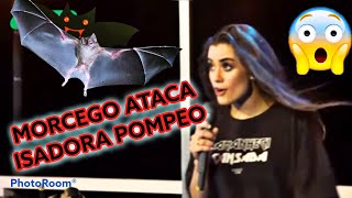 MORCEGO ATACOU A CANTORA ISADORA POMPEO AO VIVO SEJA MÚSICA FORTE E CORAJOSO [upl. by Okin]