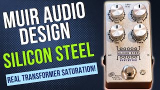 Silicon Steel Has Muir Audio Design Captured REAL Transformer Saturation amp Feel [upl. by Grimbald]