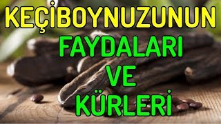 KEÇİ BOYNUZUNUN FAYDALARI VE KÜRLERİ [upl. by Aramoj]