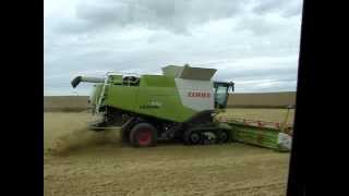 Lexion 770 TT et 760 TT  La Grande Claas   VAILLY10 [upl. by Anitnoc680]