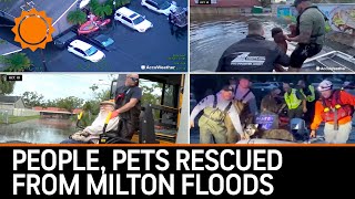 Floodwaters of FEAR People and Animals Saved from Hurricane Milton [upl. by Roel]