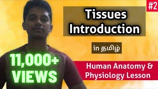 11 Tissues Introduction in Tamil  Human Anatomy amp Physiology [upl. by Iloj]