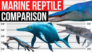 Biggest Marine Reptile  Size Comparison [upl. by Aihsetal224]