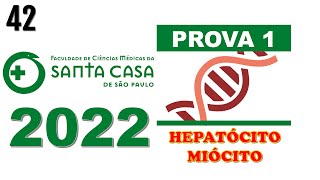 FMSCSP 2022 Um hepatócito tem a função de realizar funções como reservar o glicogênio [upl. by Greenwald]