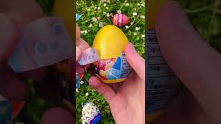 Unboxing a dog mystery egg 🐶 [upl. by Alessig]