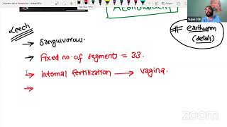 PHYLUM ANNELIDA [upl. by Heydon]