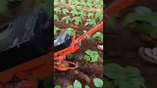 The ridge ditch tilling machine is a multipurpose machine that saves time effort and labor 48 [upl. by Noreg]