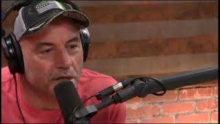 Joe Rogan  Jiu Jitsu is the Truest Martial Art [upl. by Filler725]