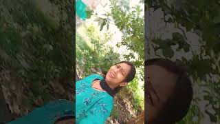 phoole ke mousam mai Milne bollywood music love hindisong ytshorts [upl. by Morven]