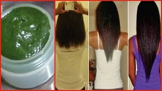 FAIRE POUSSER les CHEVEUX Plus VITE en 3 MOIS avec la POUDRE DE MORINGA [upl. by Nunnery]