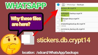 WhatsApp stickersdbcrypt 14 file  What happen if we delete [upl. by Airdni]