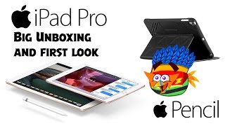 iPad Pro 97 128 GB WiFi  Cellular  Big Unboxing and first look [upl. by Aseuqram]