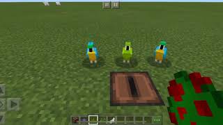 Parrot Dance Minecraft [upl. by Rima]