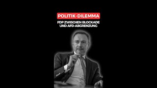 POLITIK DILEMMA FDP ZWISCHEN BLOCKADE UND AFDABGRENZUNG  POLITIKUPDATES [upl. by Kistner]