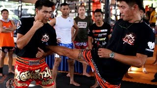 10 Muay Thai Techniques by Legends [upl. by Mercuri]