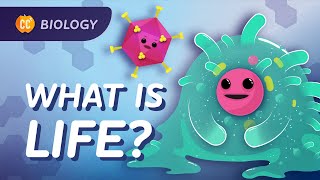 Introduction to Biology Crash Course Biology 1 [upl. by Wallford587]