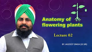 ANATOMY OF FLOWERING PLANTS LECTURE 02 [upl. by Rodmann]