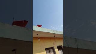 Rooftop kite looting kite catching kite flying kite lover Patang shorts [upl. by Kcirreg]